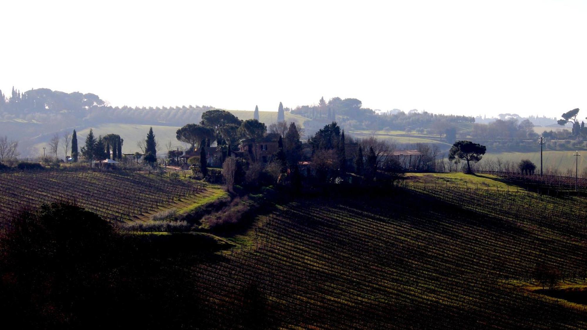 Agriturismo La Terra Valiano Exterior foto
