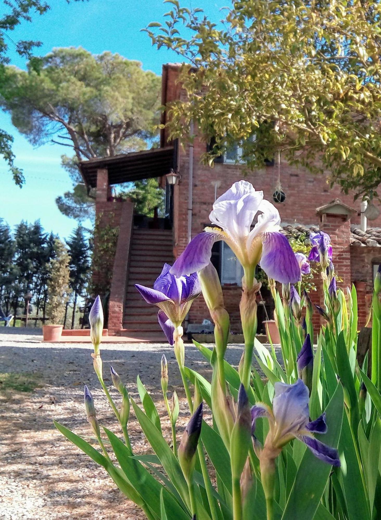Agriturismo La Terra Valiano Exterior foto