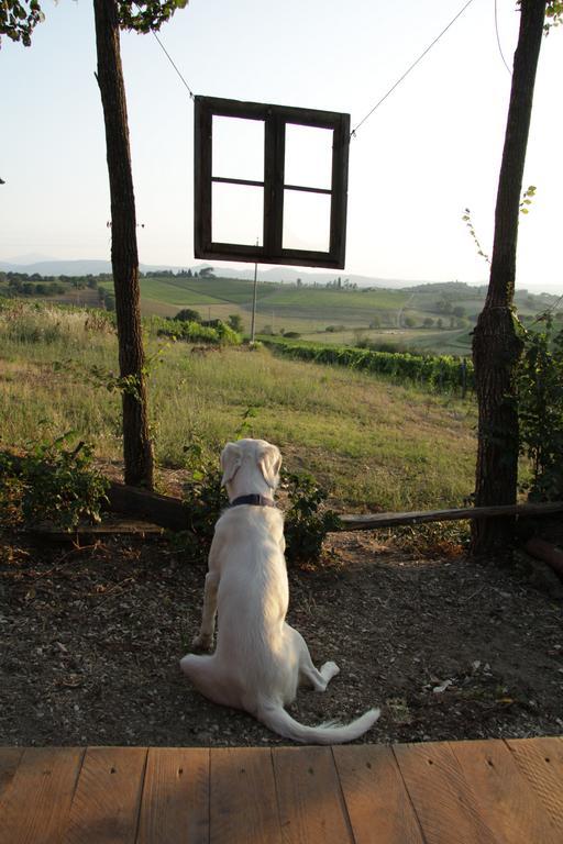 Agriturismo La Terra Valiano Exterior foto